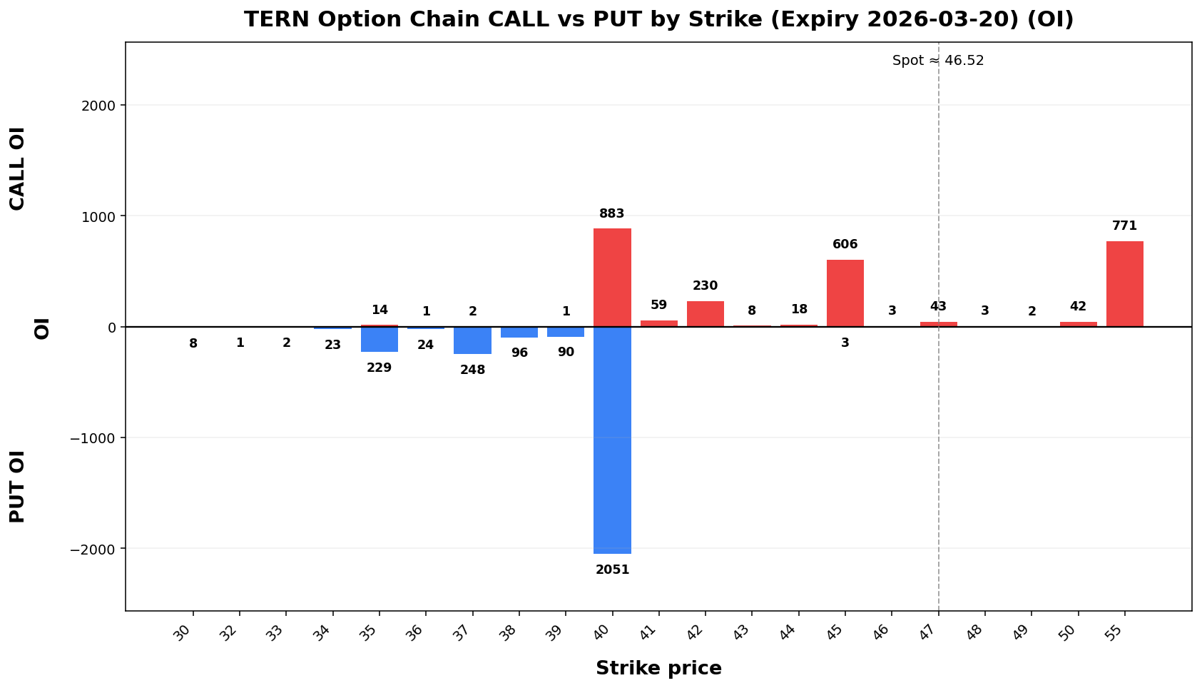 TERN Option Chain CALL vs PUT