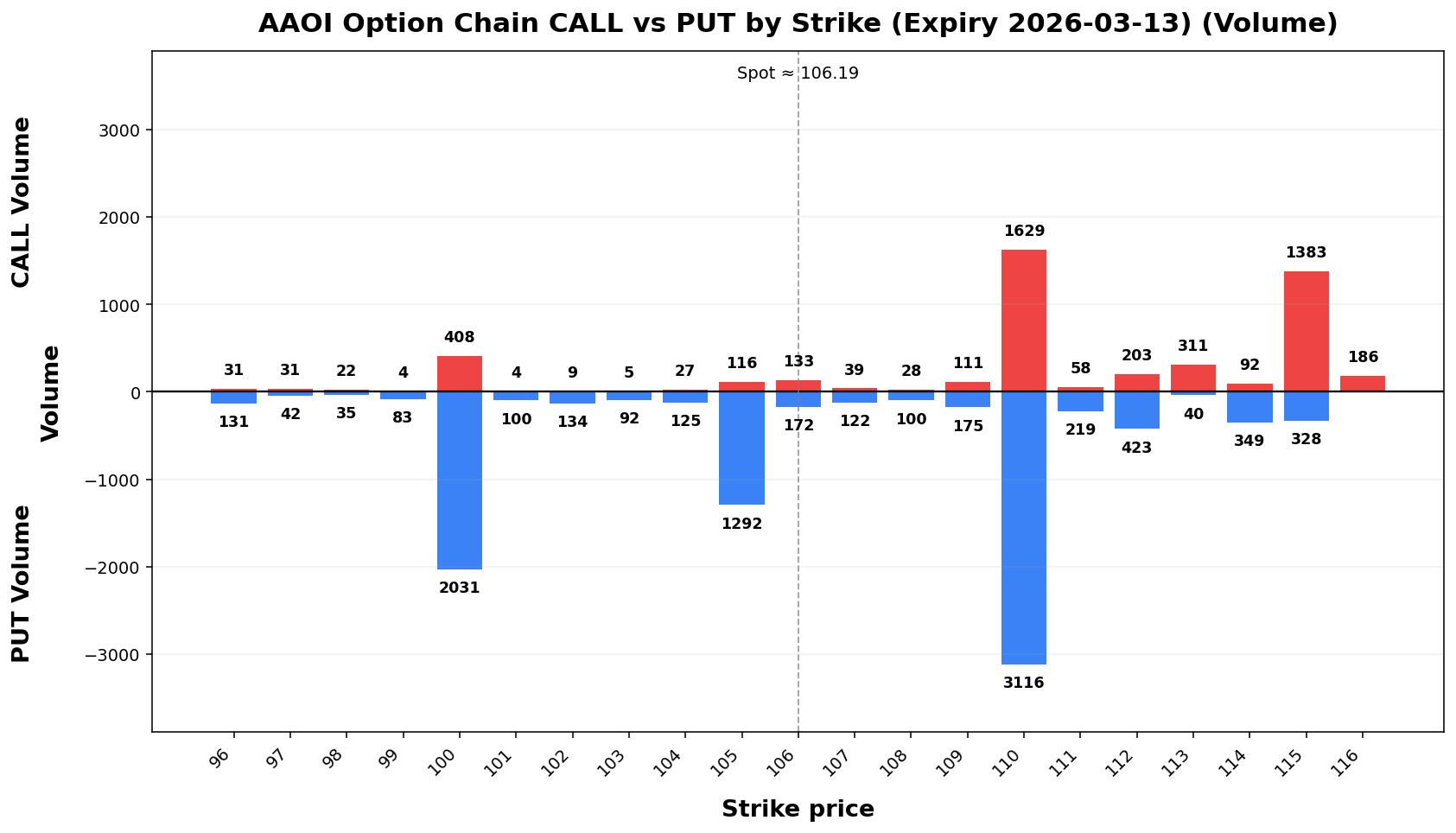 AAOI Option Chain CALL vs PUT