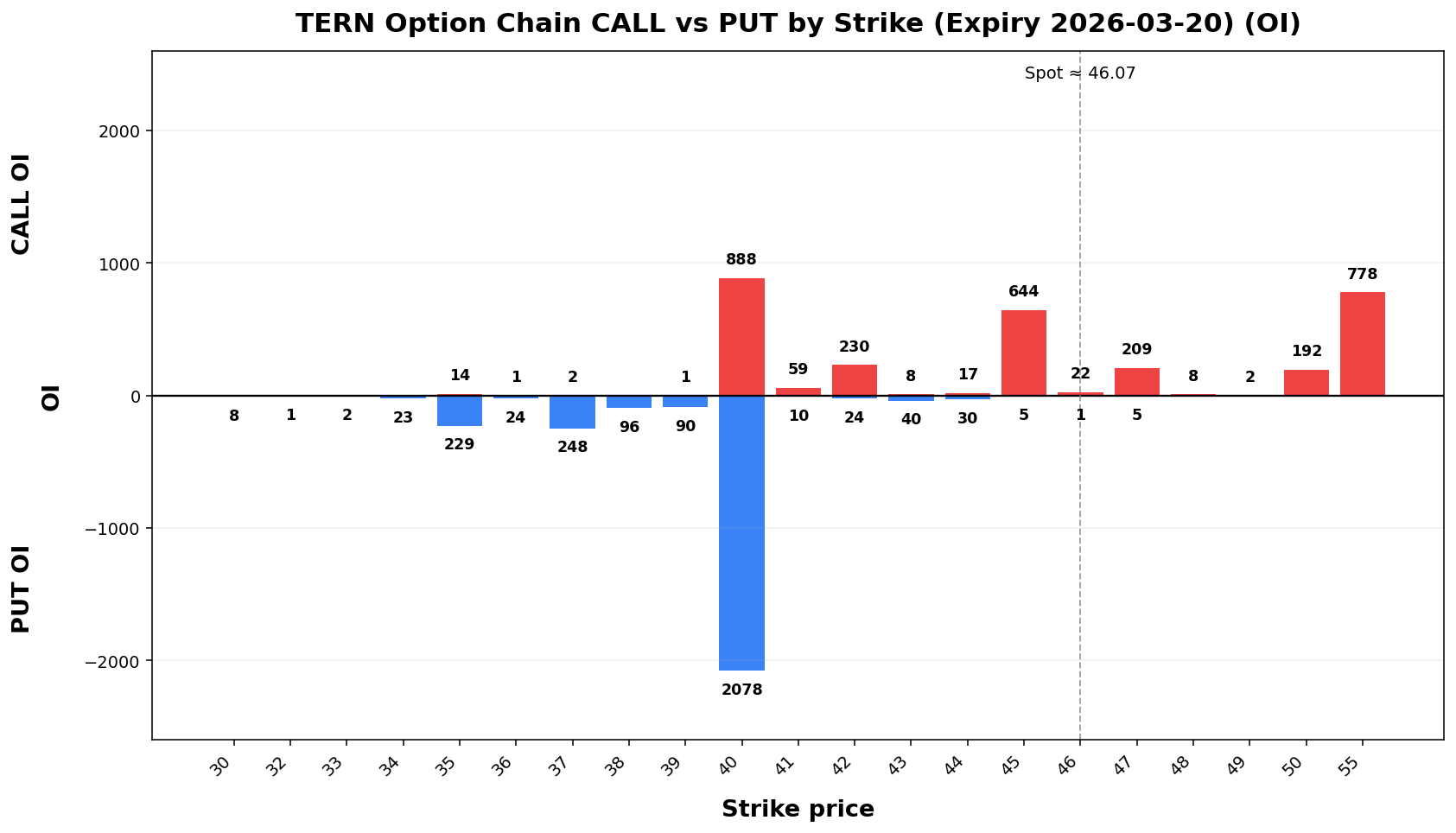 TERN Option Chain CALL vs PUT