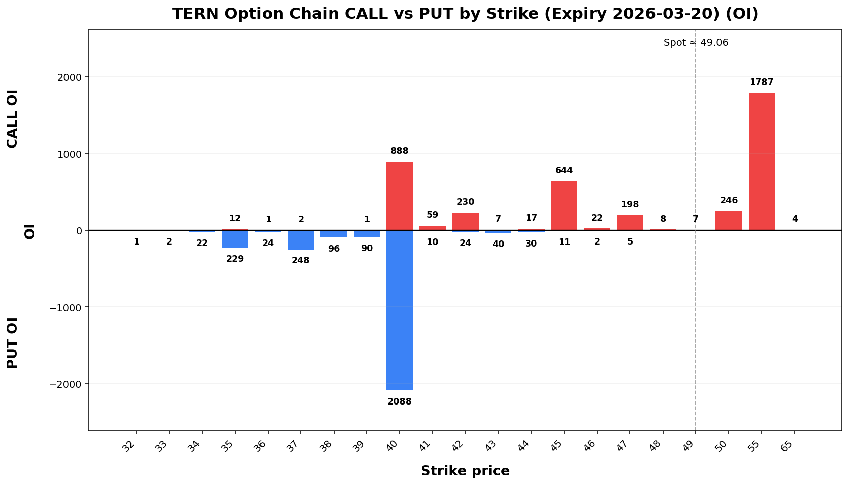 TERN Option Chain CALL vs PUT
