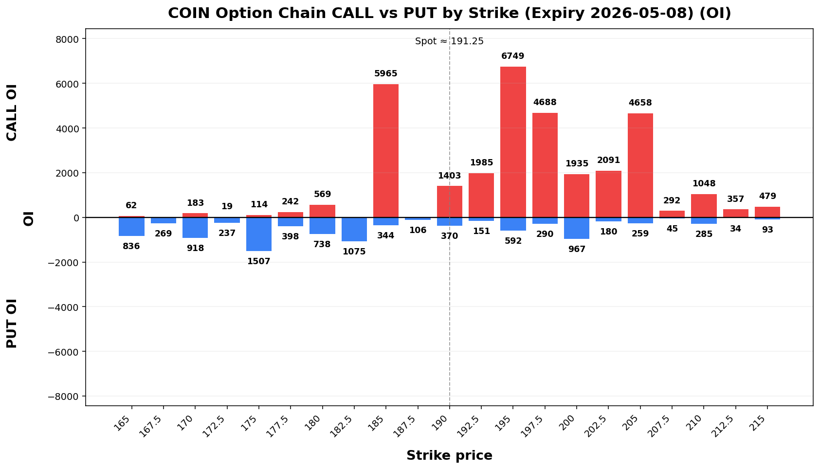 COIN Option Chain CALL vs PUT